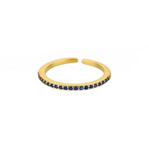 Gold PVD Coated Blue Pavé Open Band Ring